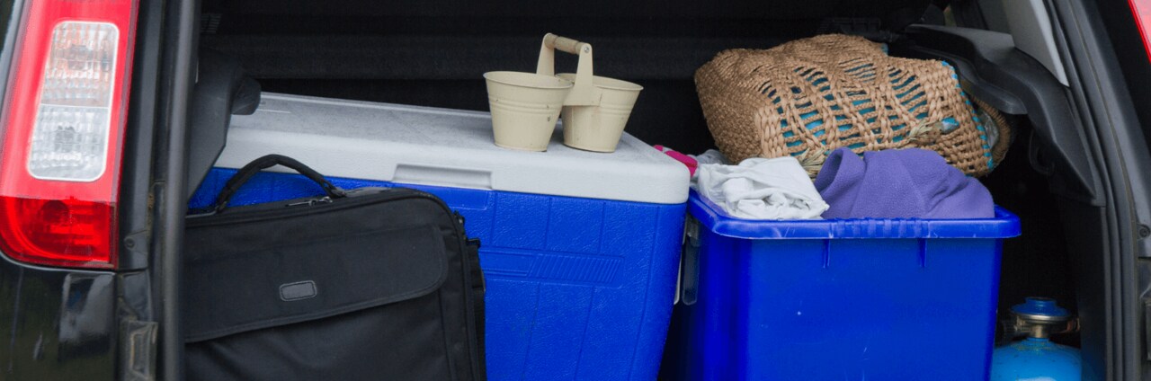 Pro Tips for Packing the Perfect Cooler