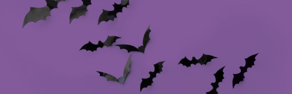 diy bat wall
