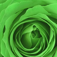 Green Green