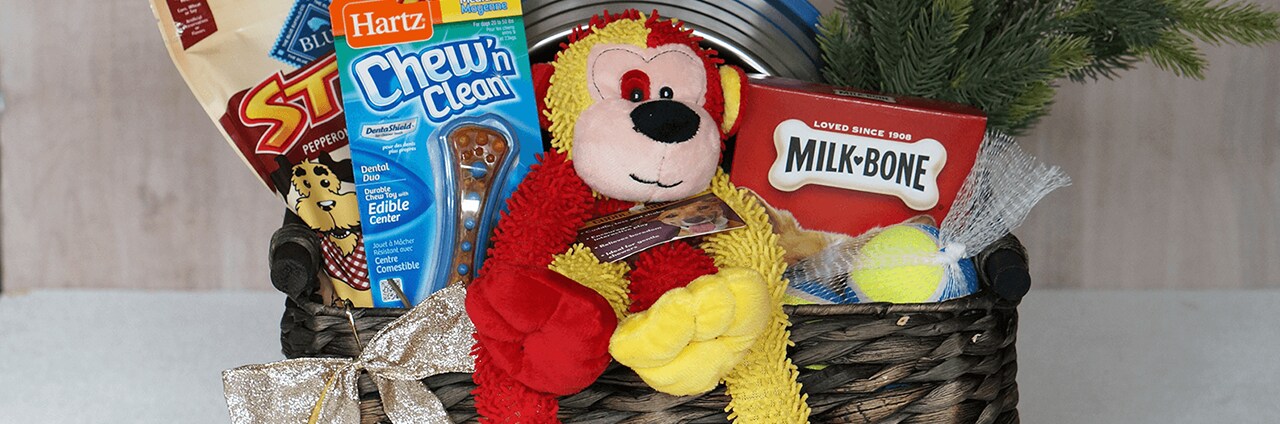 Pampered Pooch Basket